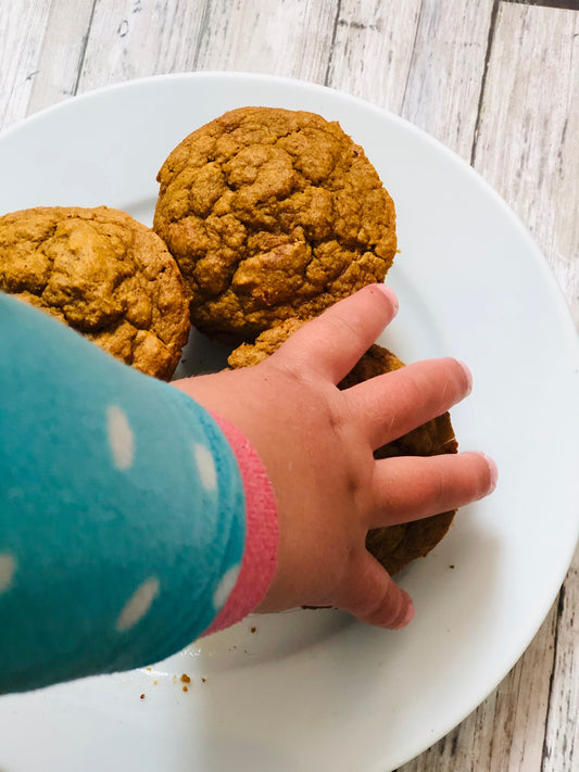 Family Friendly Gluten Free Applesauce Muffins Or Loaf