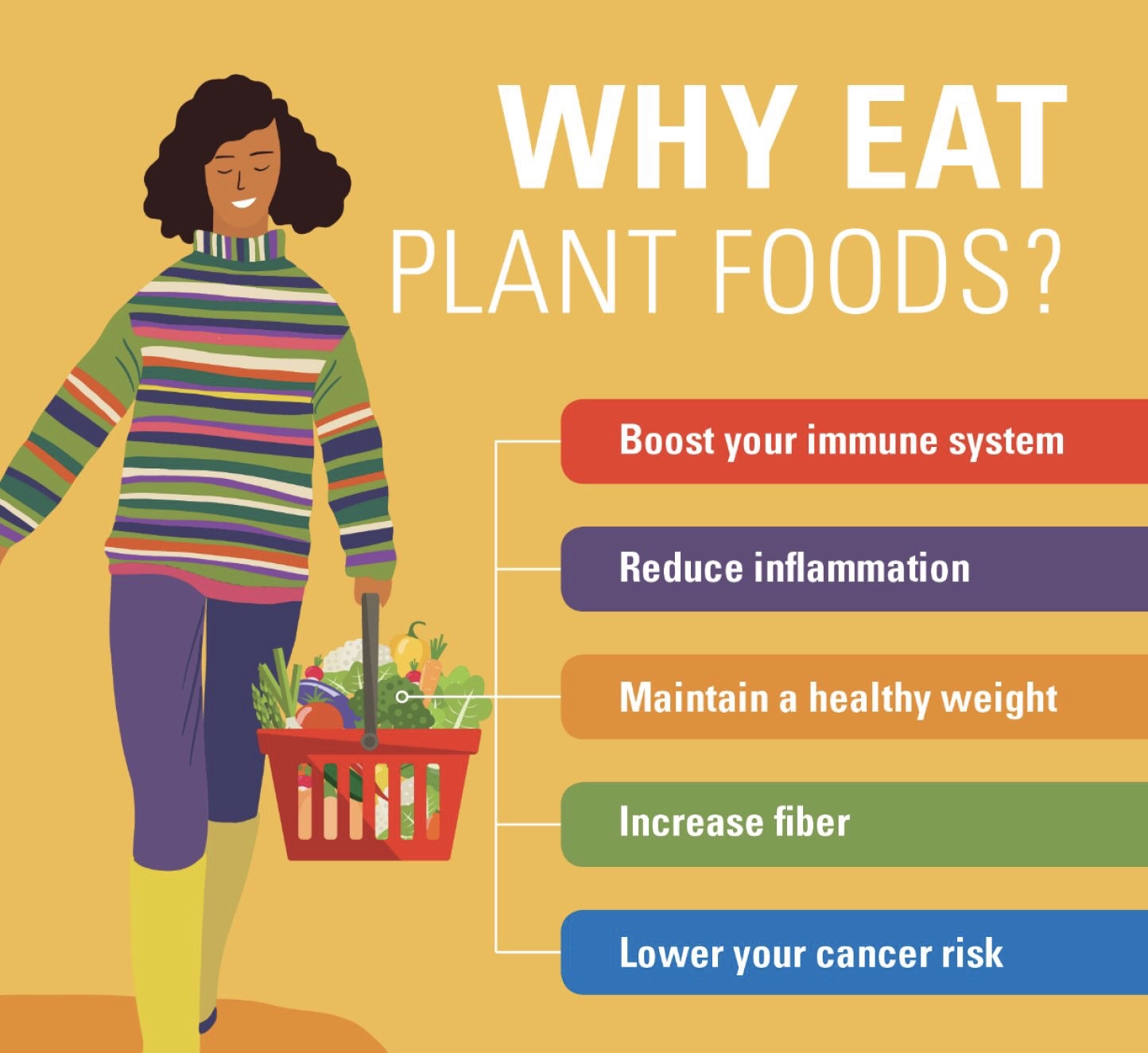 Why Eat Plant Based Foods?